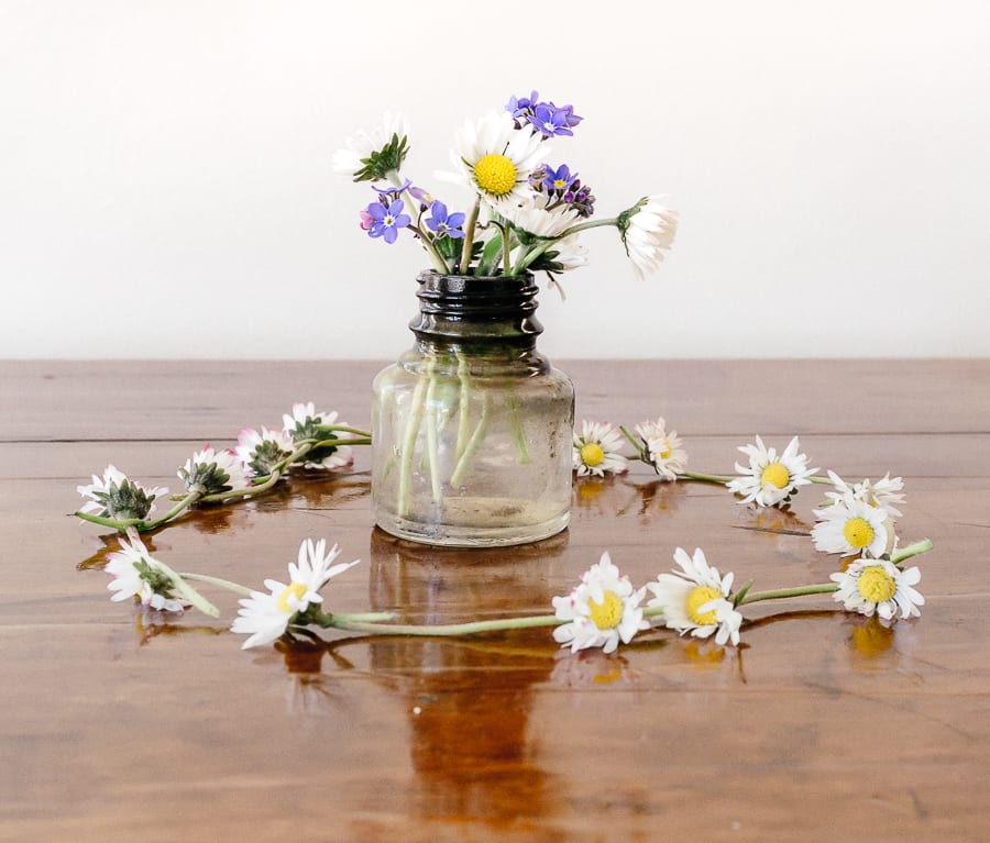 Make a simple daisy chain - Botanical photography fine art prints & nature  inspiration