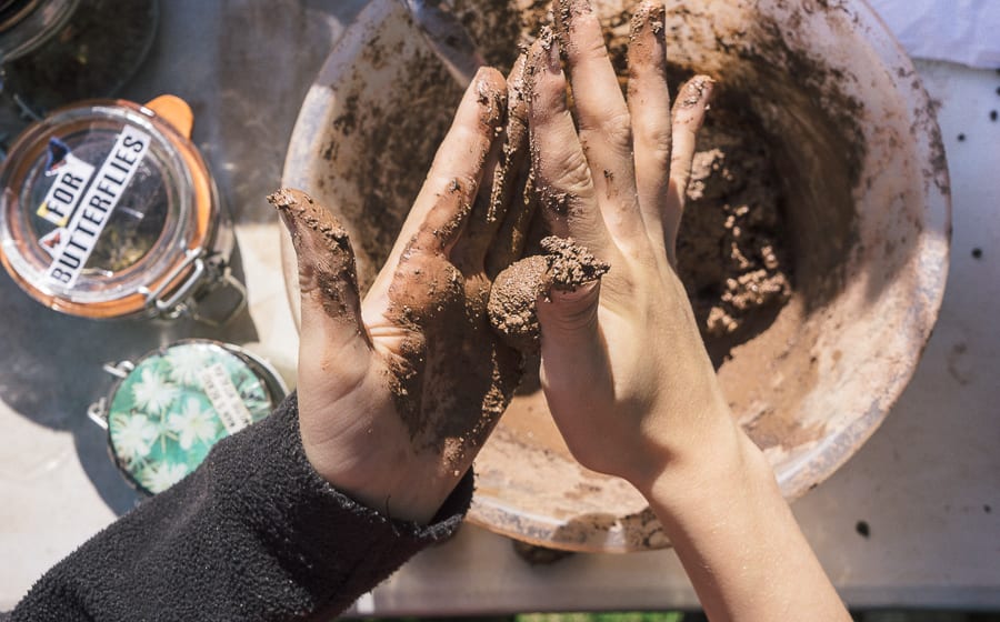 How to make a wildflower seed bomb