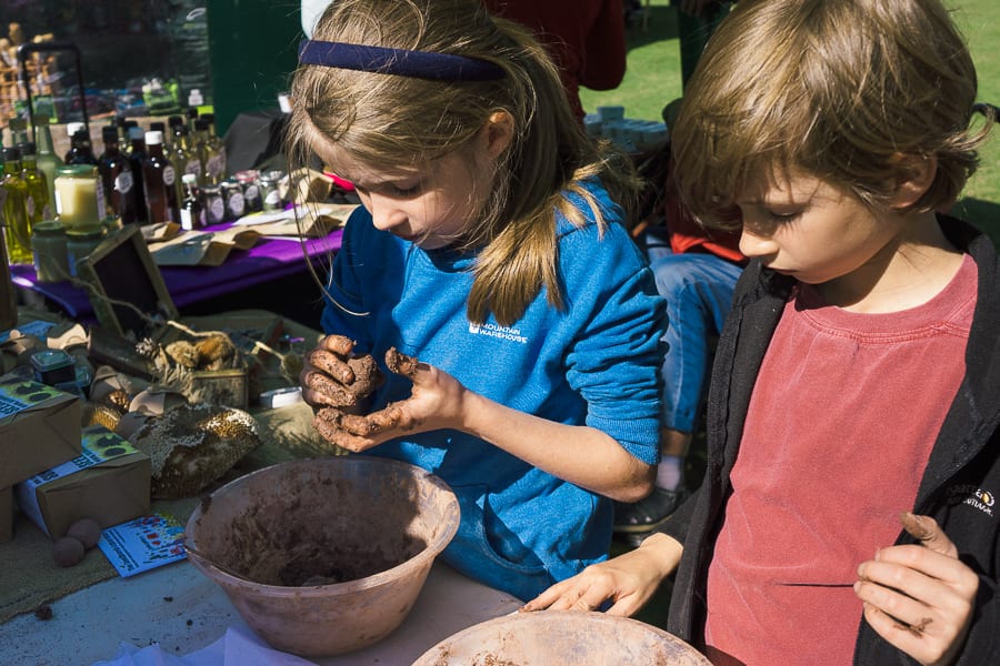 Make a seed bomb with kids