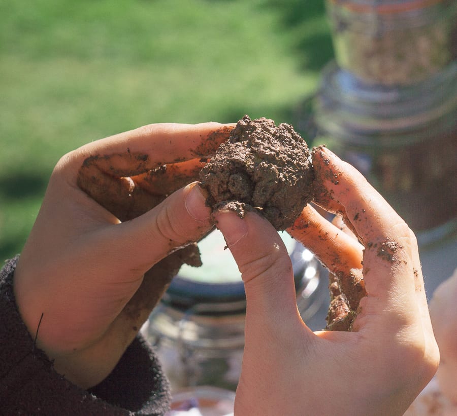 Make a seedbomb roll compost clay seeds