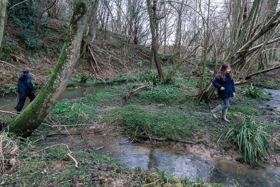 Stream adventure playing on bank