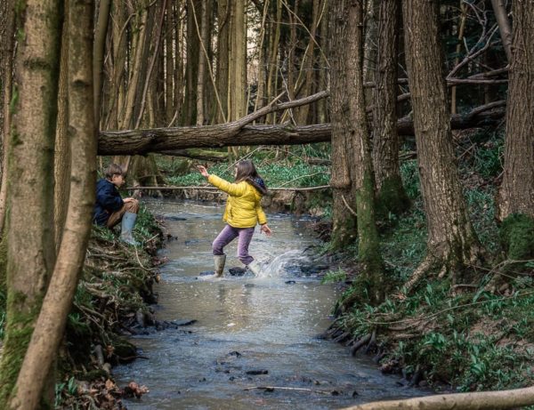 Strream adventure splashing across