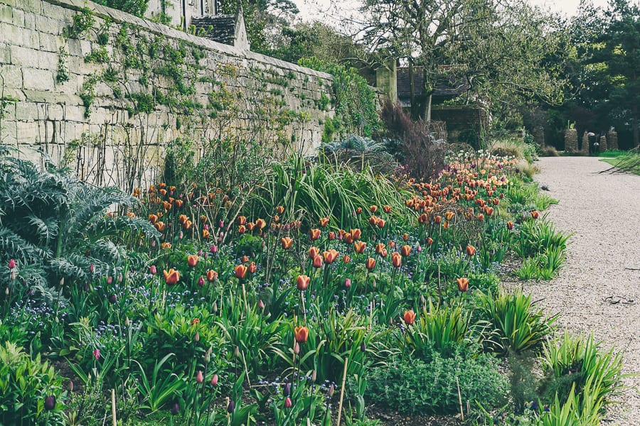 Tulip time Gravetye Manor Gardens