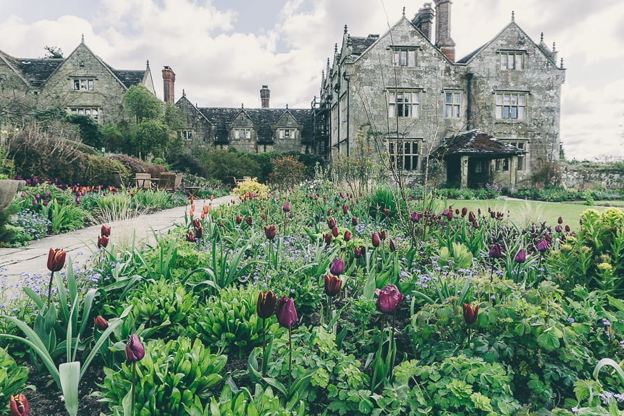 Tulip time Gravetye Manor Hotel