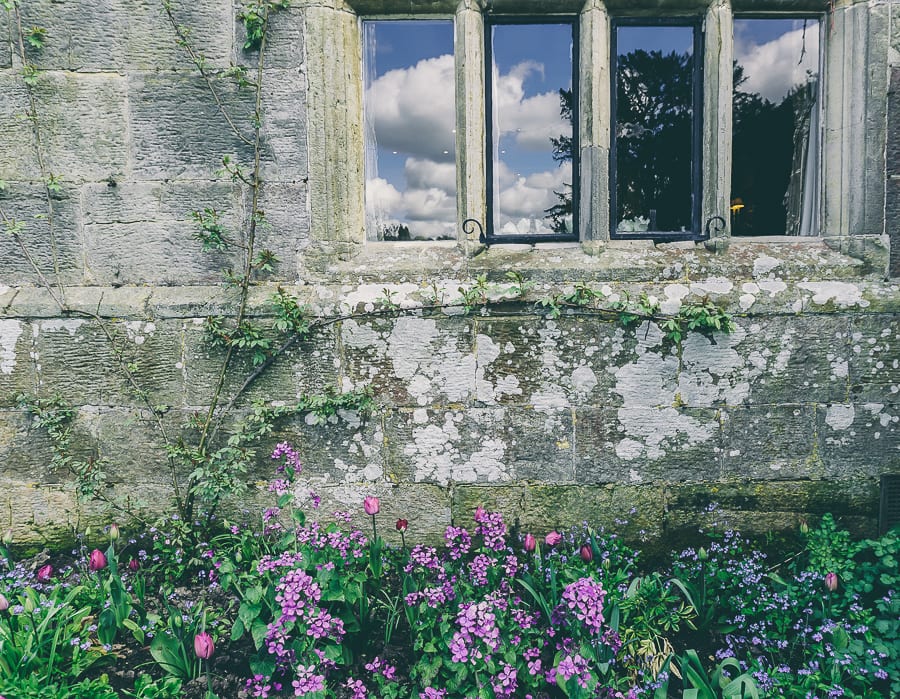 Tulip time flower bed window