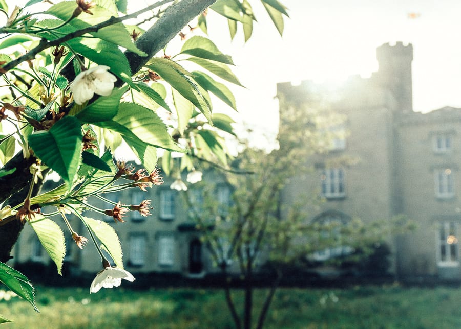 Chiddingstone Castle blossoms