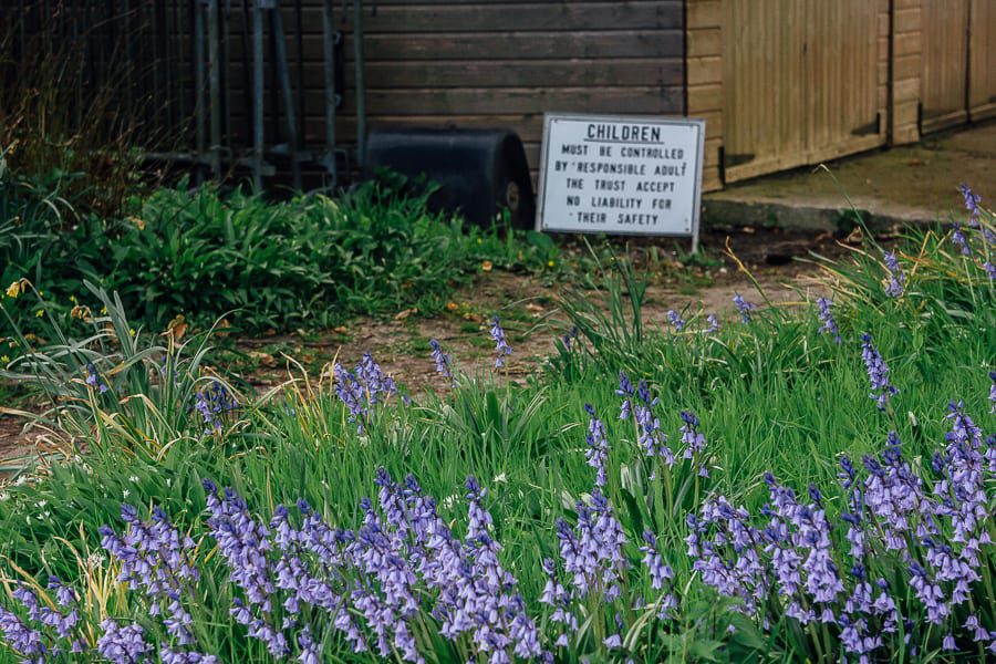 Chiddingstone Castle children sign