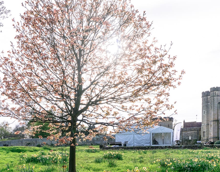 Chiddingstone Castle tent and maple