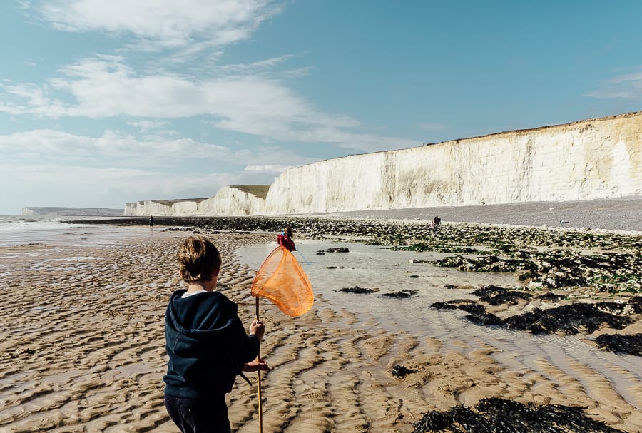 Rock pooling Birling Gap