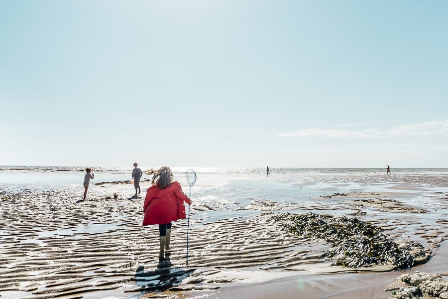 Rock pooling adventure