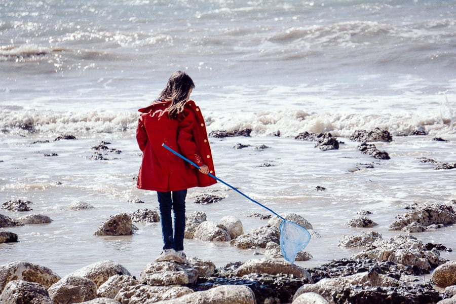 Rock pooling adventure with kids