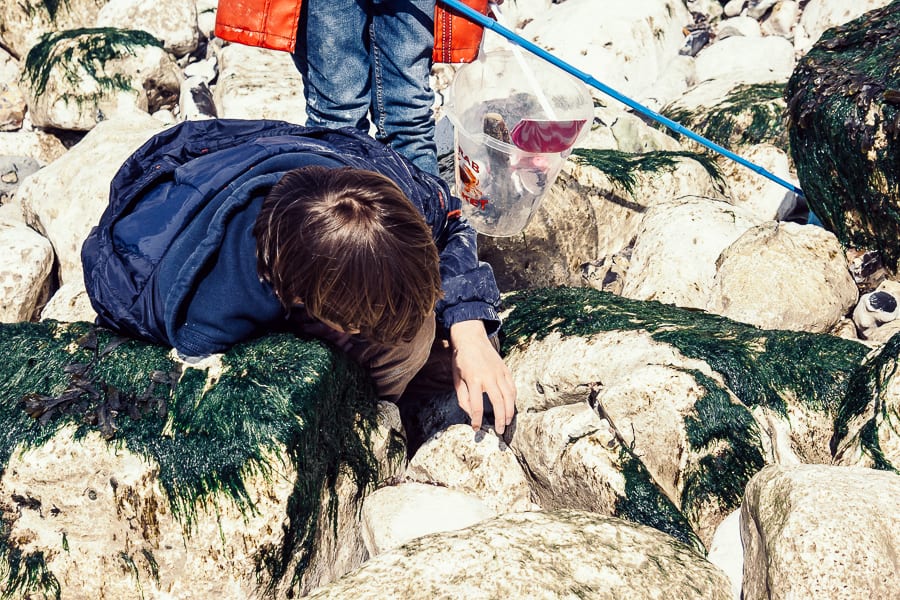 Rock pooling nets buckets rocks