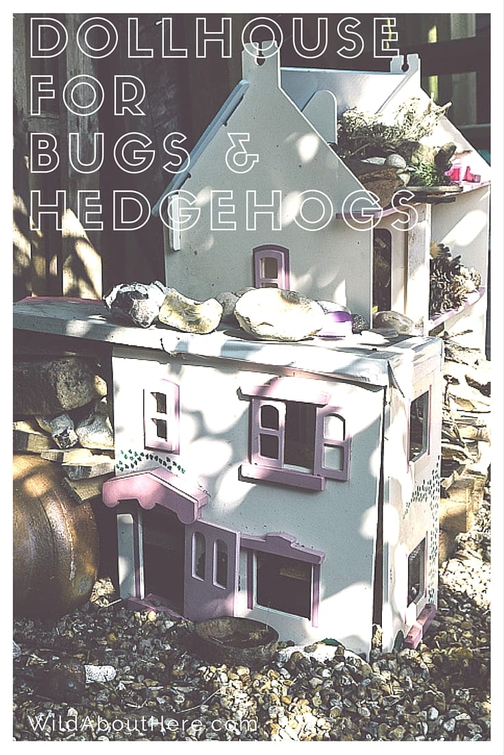 Bugs store barbie house