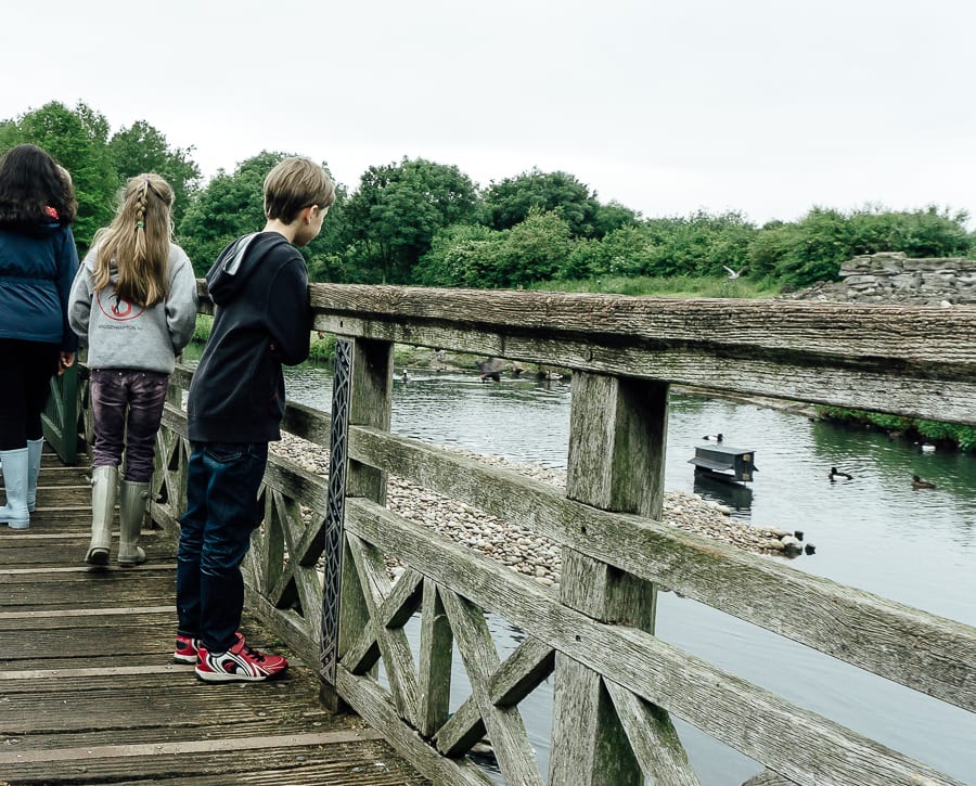 London Wetland Centre kids exploring