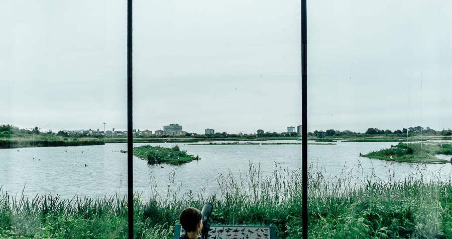 London Wetland Centre window