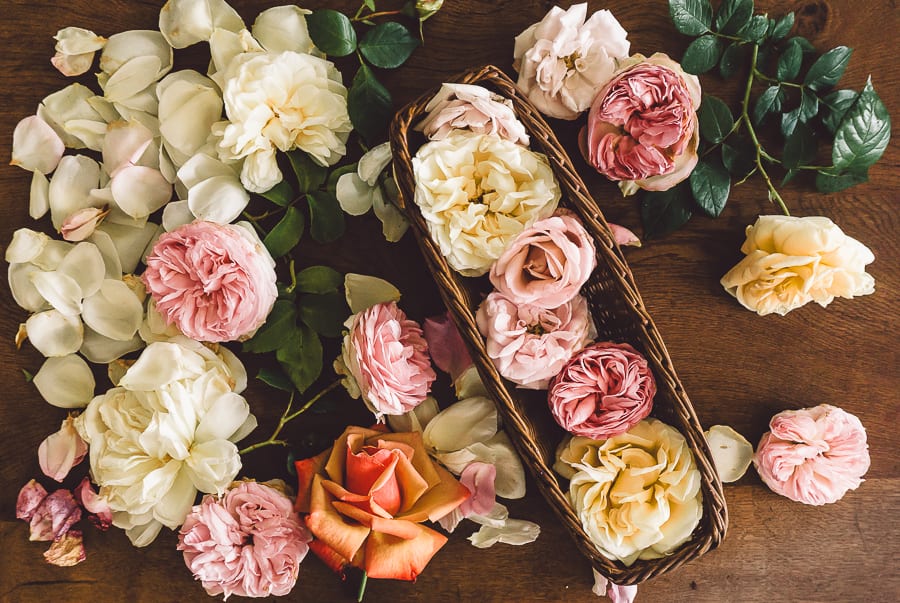 Roses and basket indoors