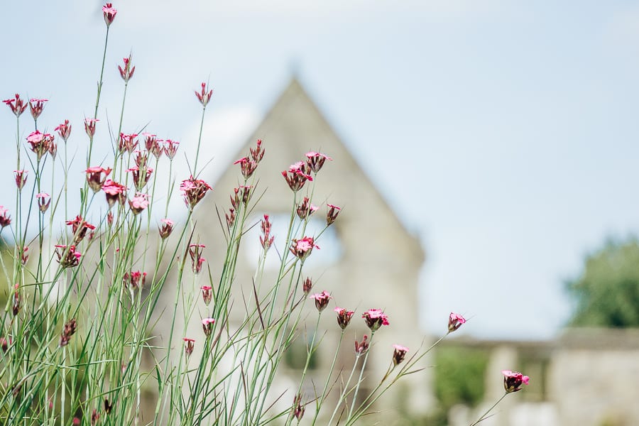 Nymans Flowers ruins