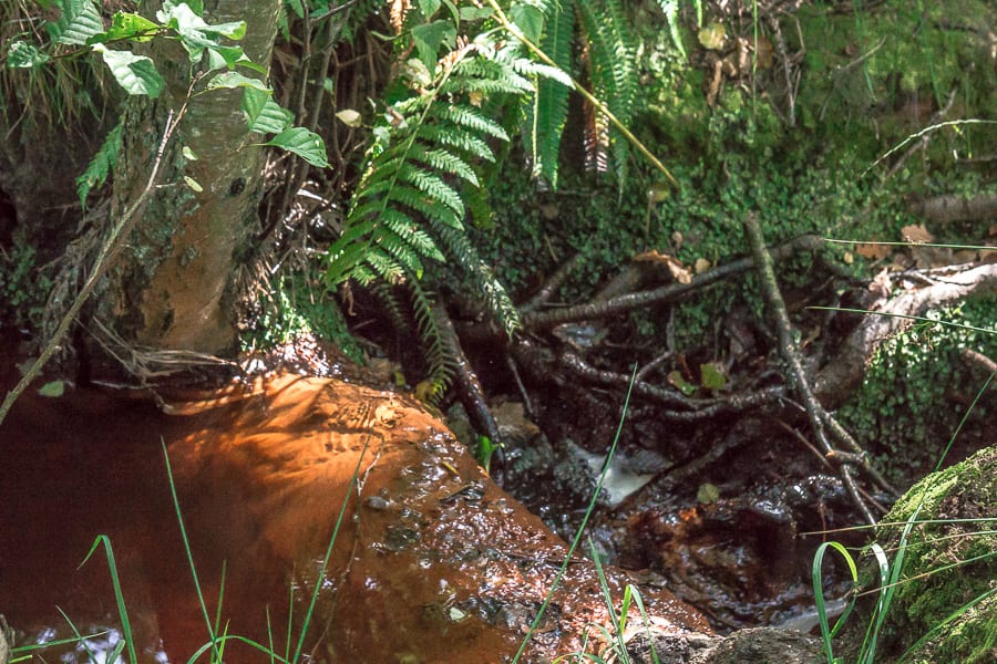 Ashdown Forest iron water 