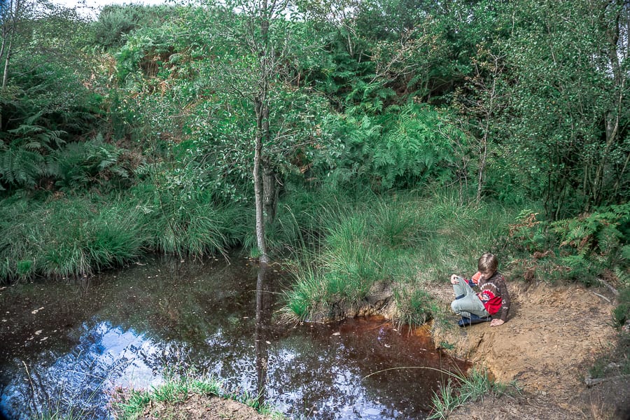 Ashdown Forest pond reflection and Theo