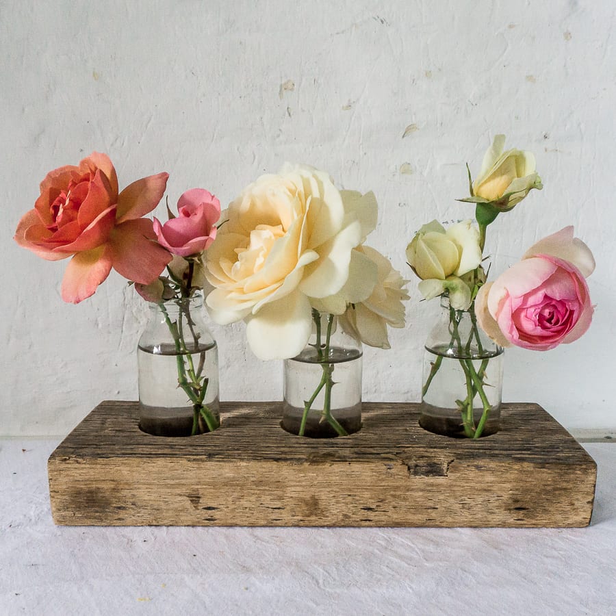 Flowering rose buds