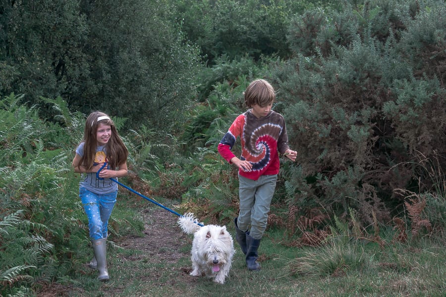 Kids and dog running on path