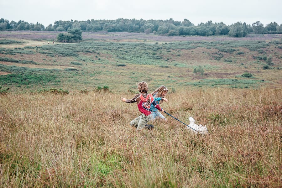 Kids and dog in heathland