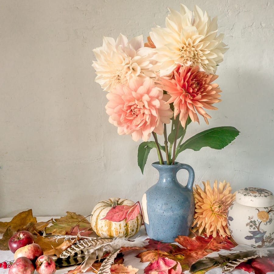 Dahlias autumn still life