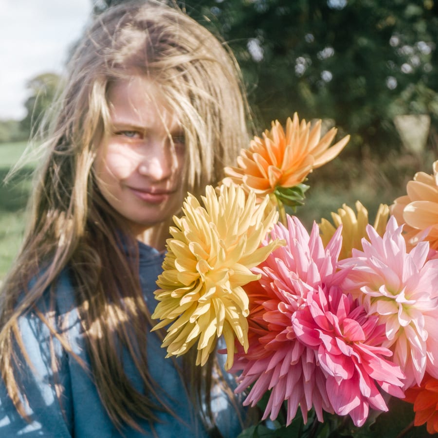 Luce and Dahlias