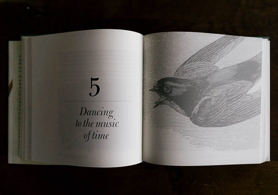 The Meaning of Birds chapter by Simon Barnes book