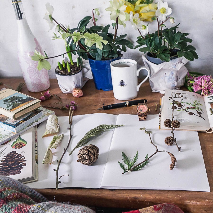 wood watch jord botanist desk