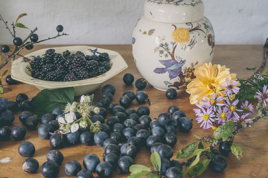 botanical desk October hedgerow