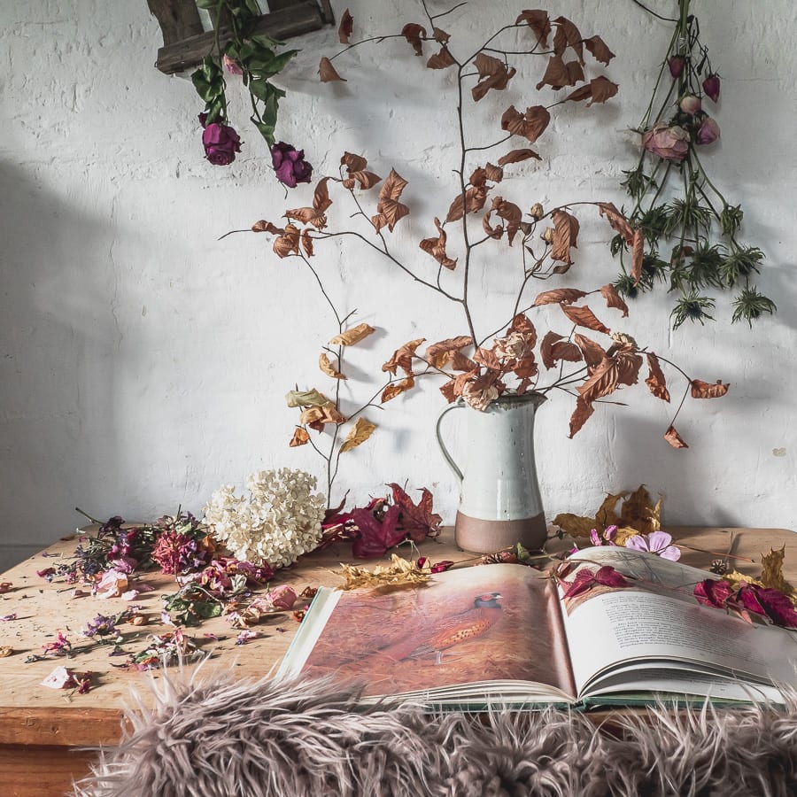 Botanical desk beech leaves