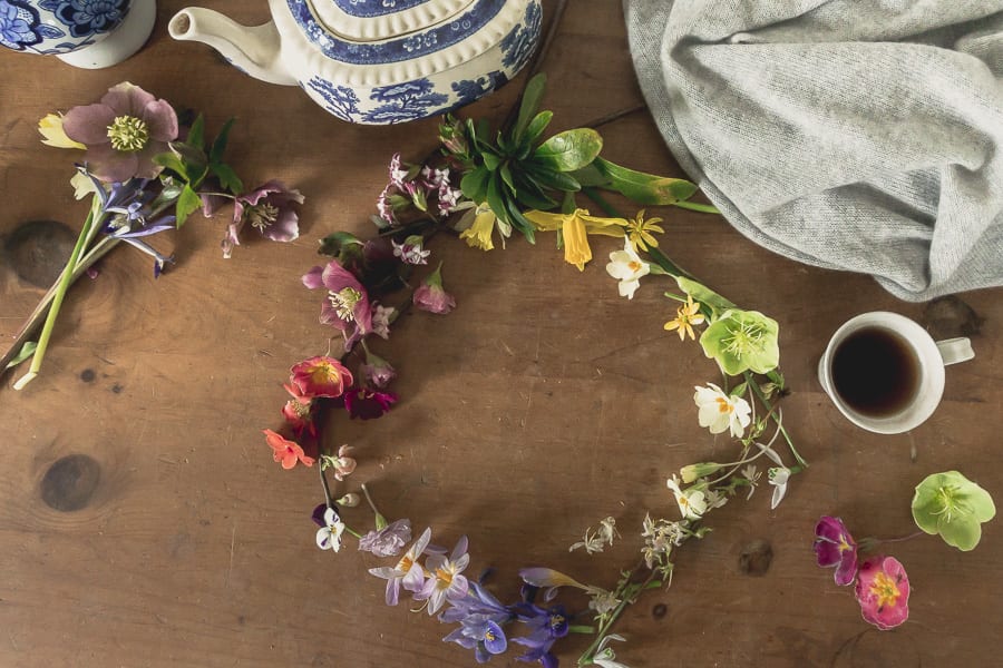 Botanical desk February end winter nature diary