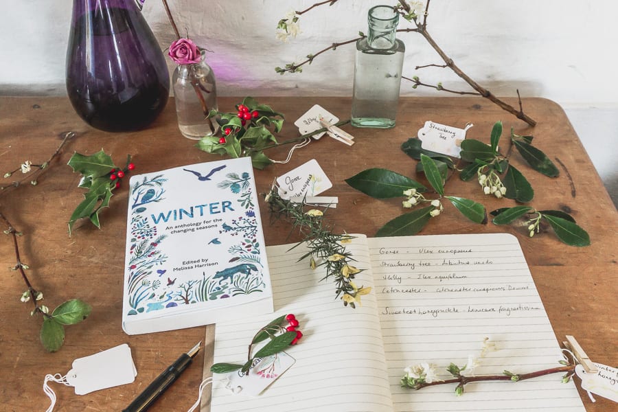 Botanical desk nature diary winter