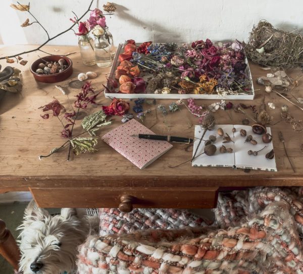 Botanical desk winter nature diary