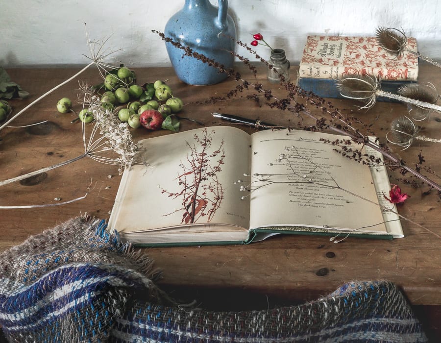 Botanical desk November Edith Holden