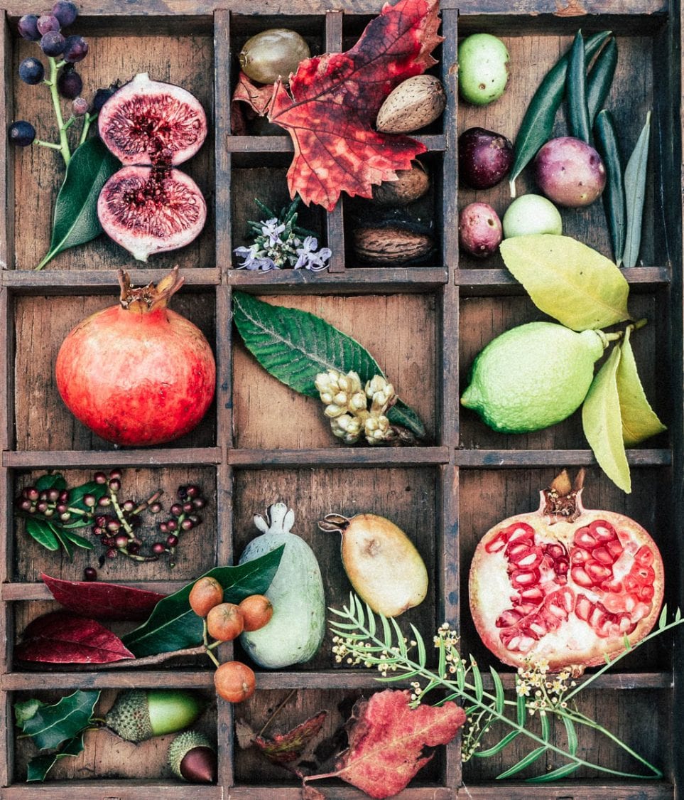 Ripening botanical art display