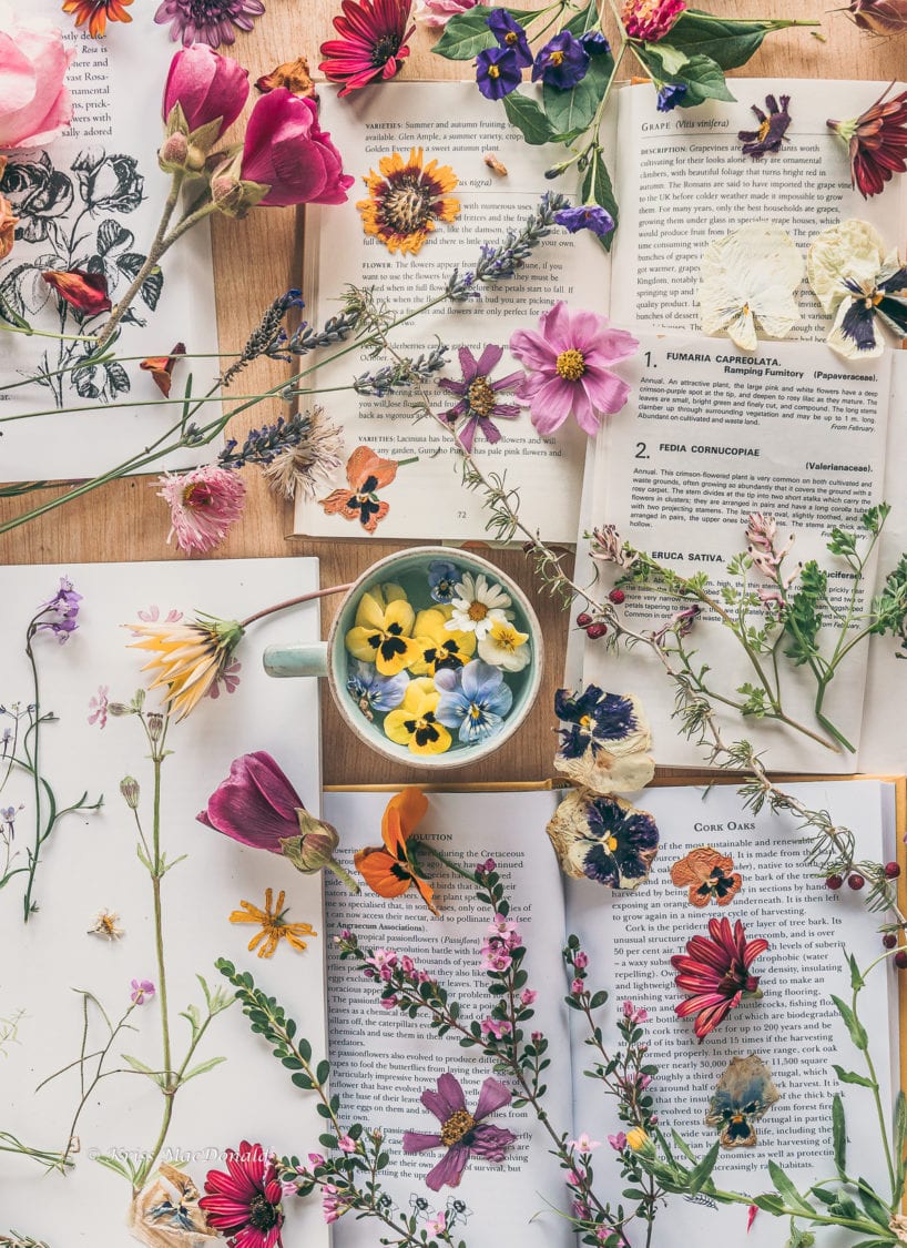 flower tea books