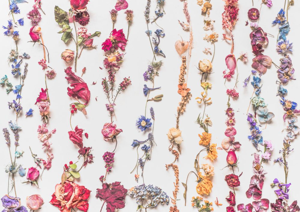 dried flowers year