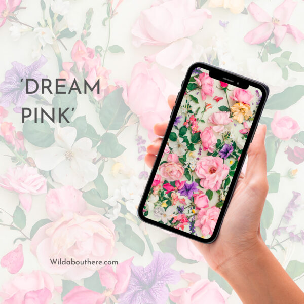 Dream Pink Phone Wallpaper Kriss MacDonald