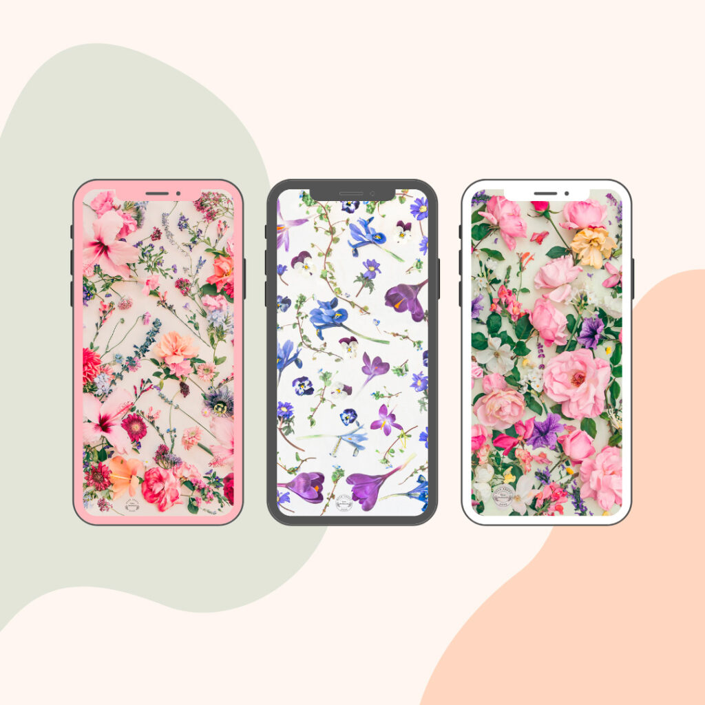 Three phone wallpapers Kriss MacDonald floral art