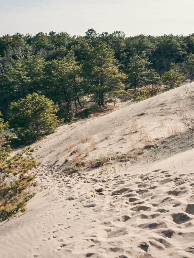 Walking Dunes in Montauk, The Hamptons